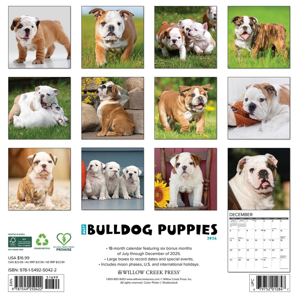 Just Bulldog Puppies 2026 Wall Calendar First Alternate Image