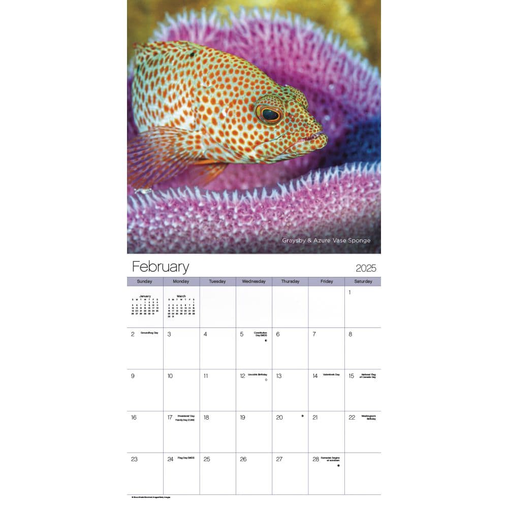 Ocean Life 2025 Wall Calendar Second Alternate Image width=&quot;1000&quot; height=&quot;1000&quot;