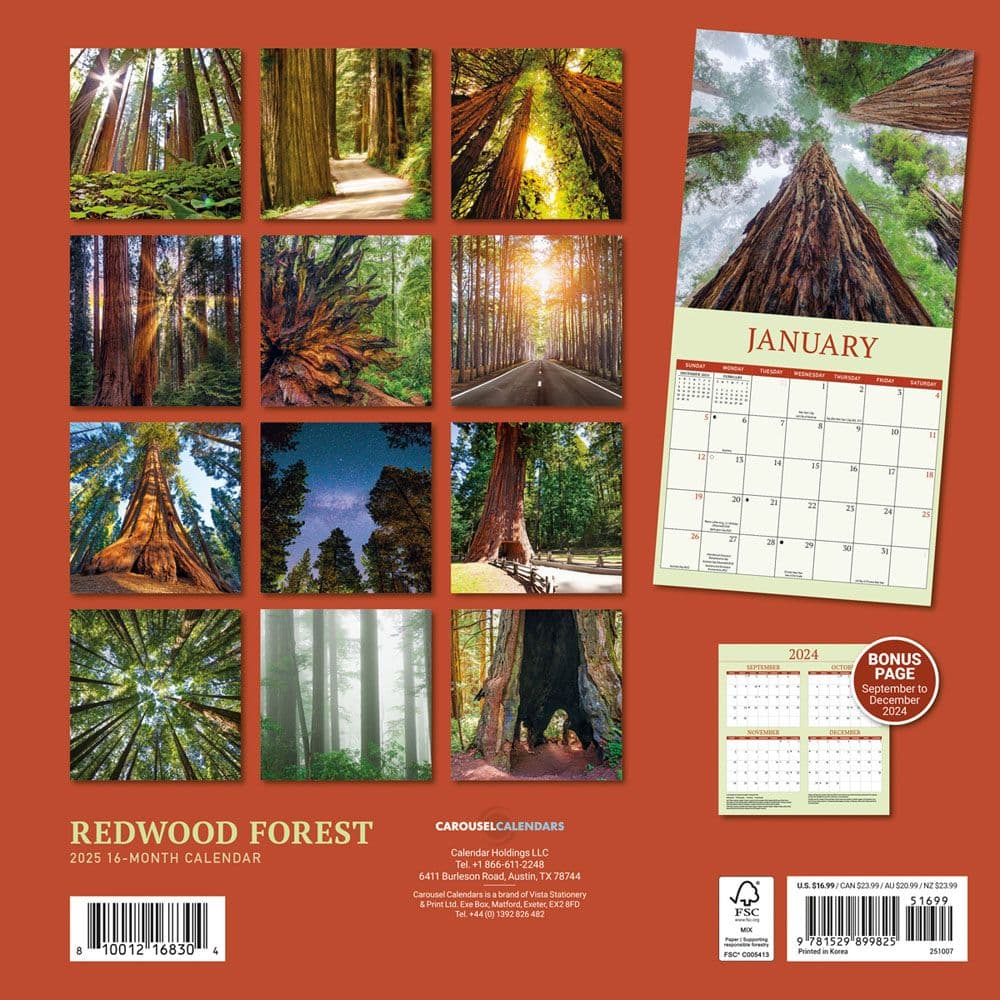 Redwood Forest 2025 Wall Calendar