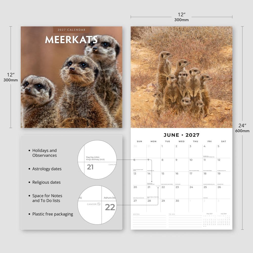Meerkats 2027 Wall Calendar Third Alternate Image