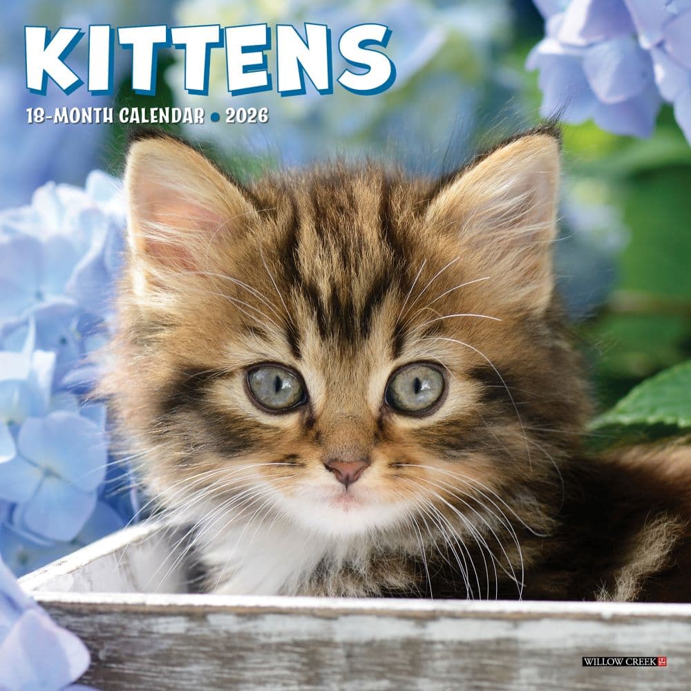 image Kittens 2026 Wall Calendar