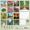 image Trees 2024 Wall Calendar Alternate Image 1