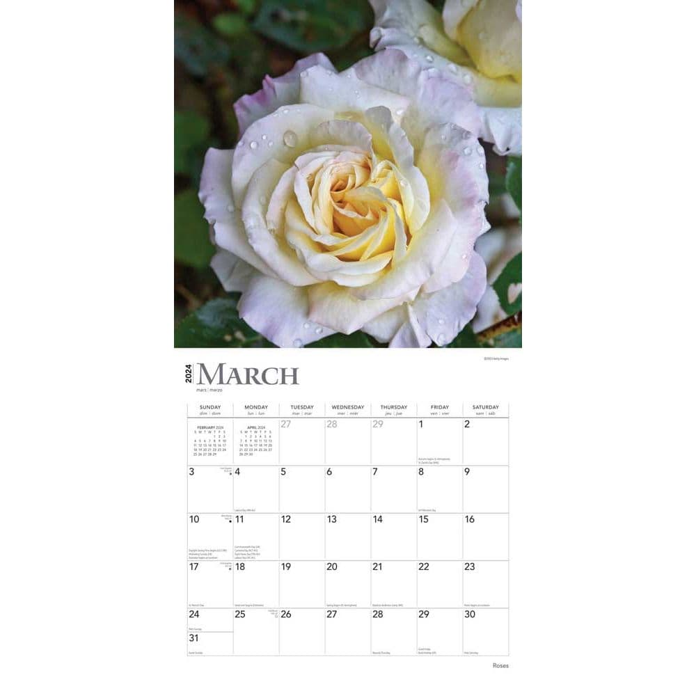 Roses 2024 Wall Calendar