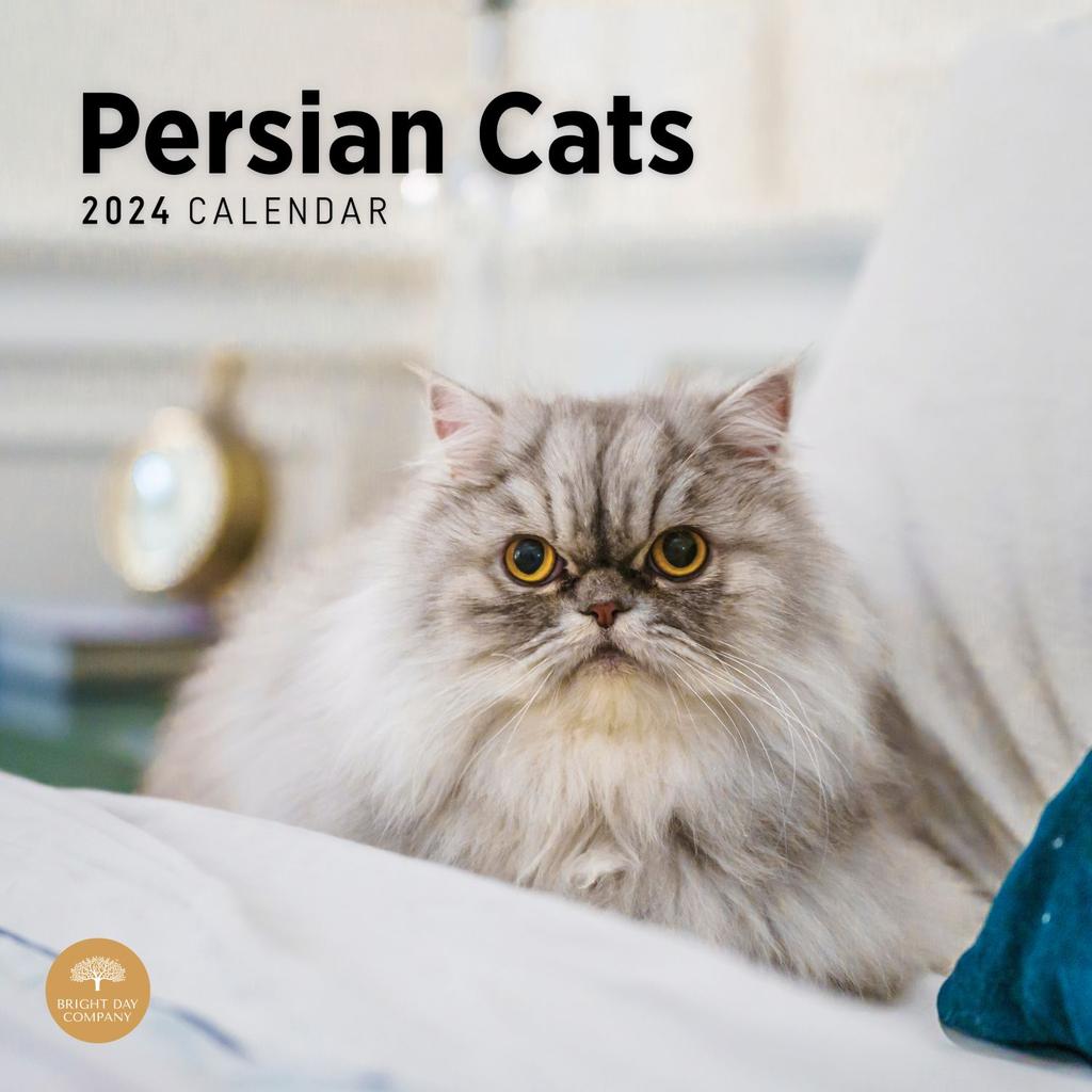 Persian Cats 2024 Wall Calendar