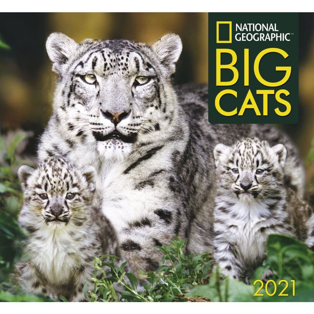 Big Cats National Geographic Wall Calendar - Calendars.com