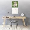 image Lhasa Apso 2027 Wall Calendar Third Alternate Image