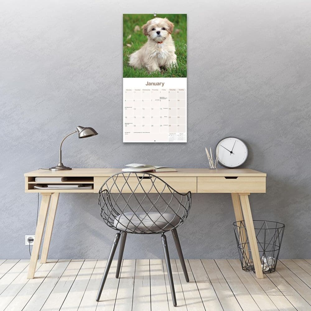 Lhasa Apso 2027 Wall Calendar Third Alternate Image