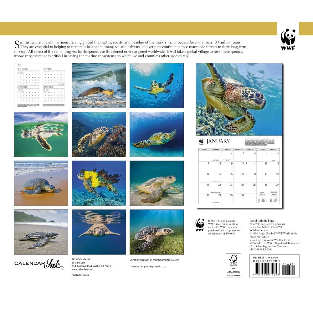 Sea Turtles WWF 2024 Wall Calendar