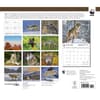 image Wolves WWF 2024 Wall Calendar Alternate Image 1