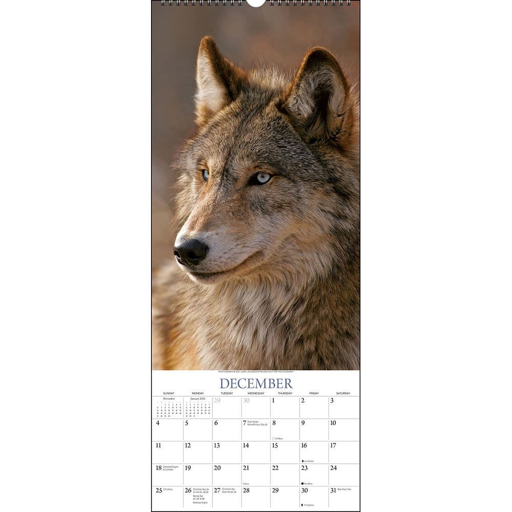 Wolves 2022 Wall Calendar Calendars Com