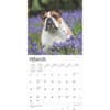 image English Bulldogs 2025 Wall Calendar