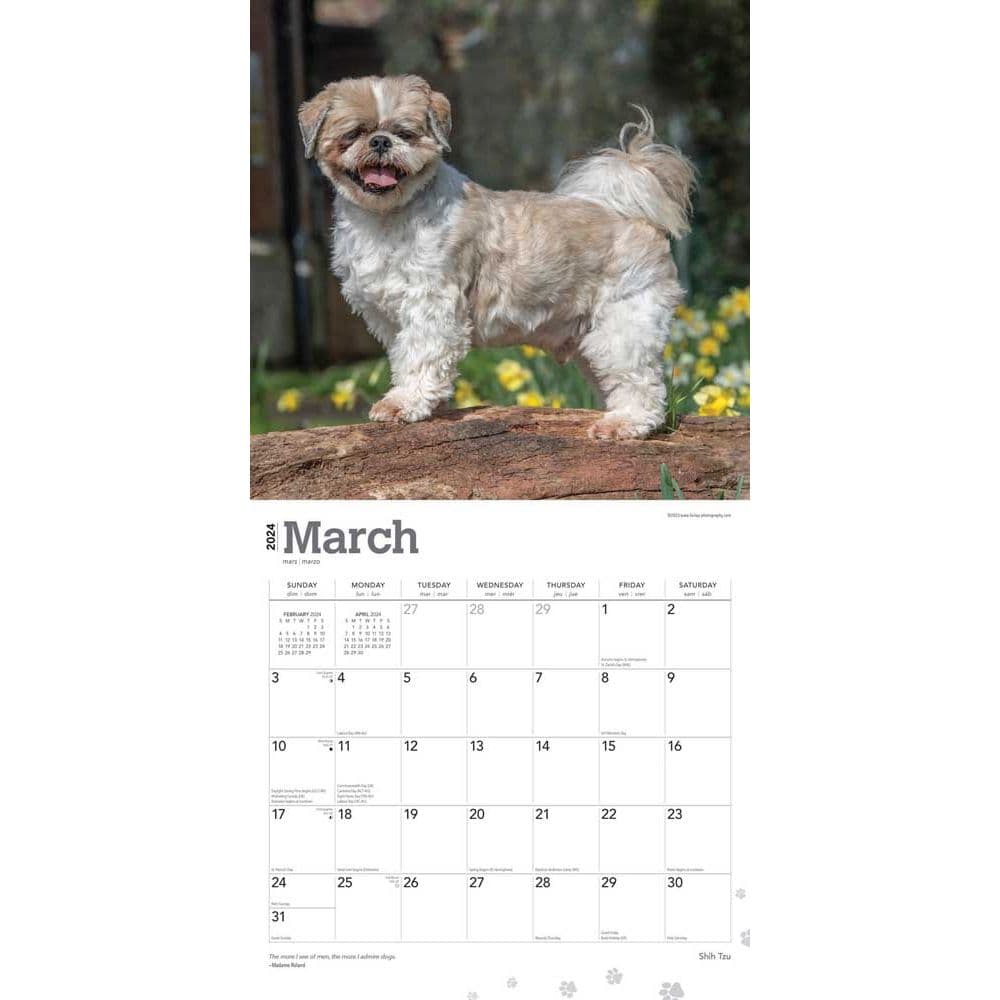 Shih Tzu 2024 Wall Calendar Calendars Com   9b34aa69 B733 461d 87b8 Edcd2b212dba