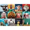 image Funny Animal Portraits 1000 Piece Puzzle First Alternate Image