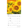 image Sunflowers Special Value 2026 Mini Wall Calendar Third Alternate Image