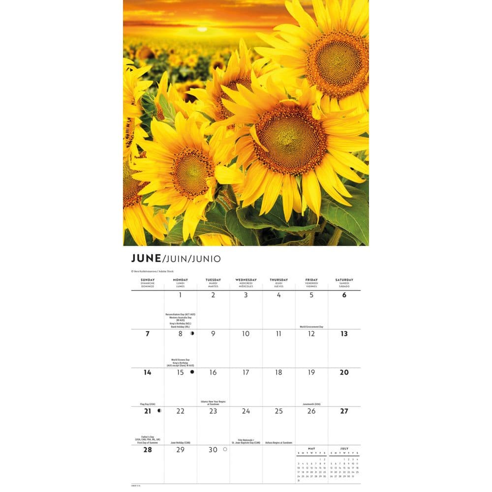 Sunflowers Special Value 2026 Mini Wall Calendar Third Alternate Image
