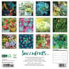 image Succulents 2025 Wall Calendar First Alternate Image width=&quot;1000&quot; height=&quot;1000&quot;