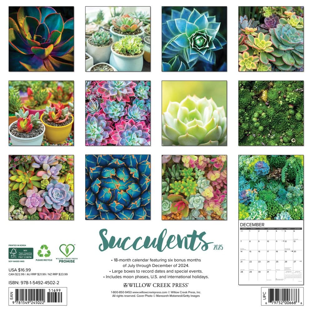 Succulents 2025 Wall Calendar First Alternate Image width=&quot;1000&quot; height=&quot;1000&quot;