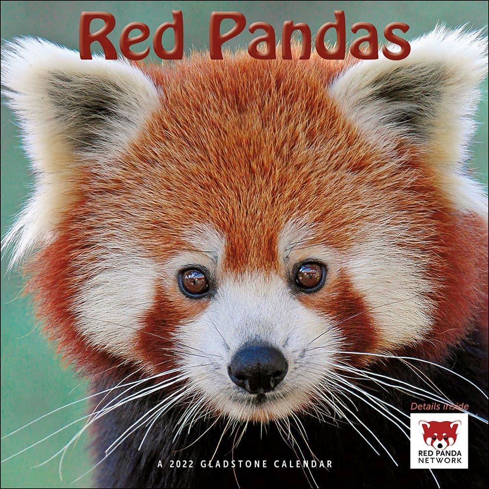 Red Pandas 2022 Wall Calendar