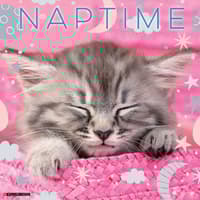 image Naptime Cats Special Value 2026 Wall Calendar  Main Image
