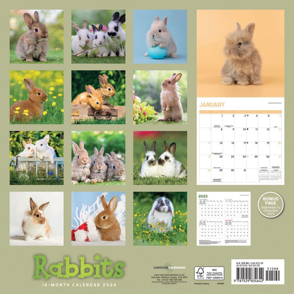 Rabbits 2024 Wall Calendar