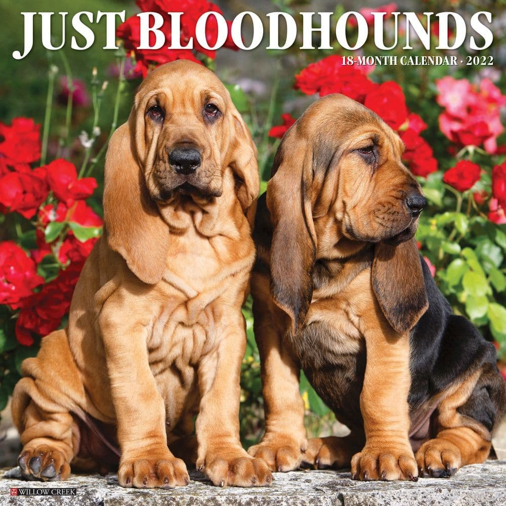 Bloodhounds 2022 Wall Calendar
