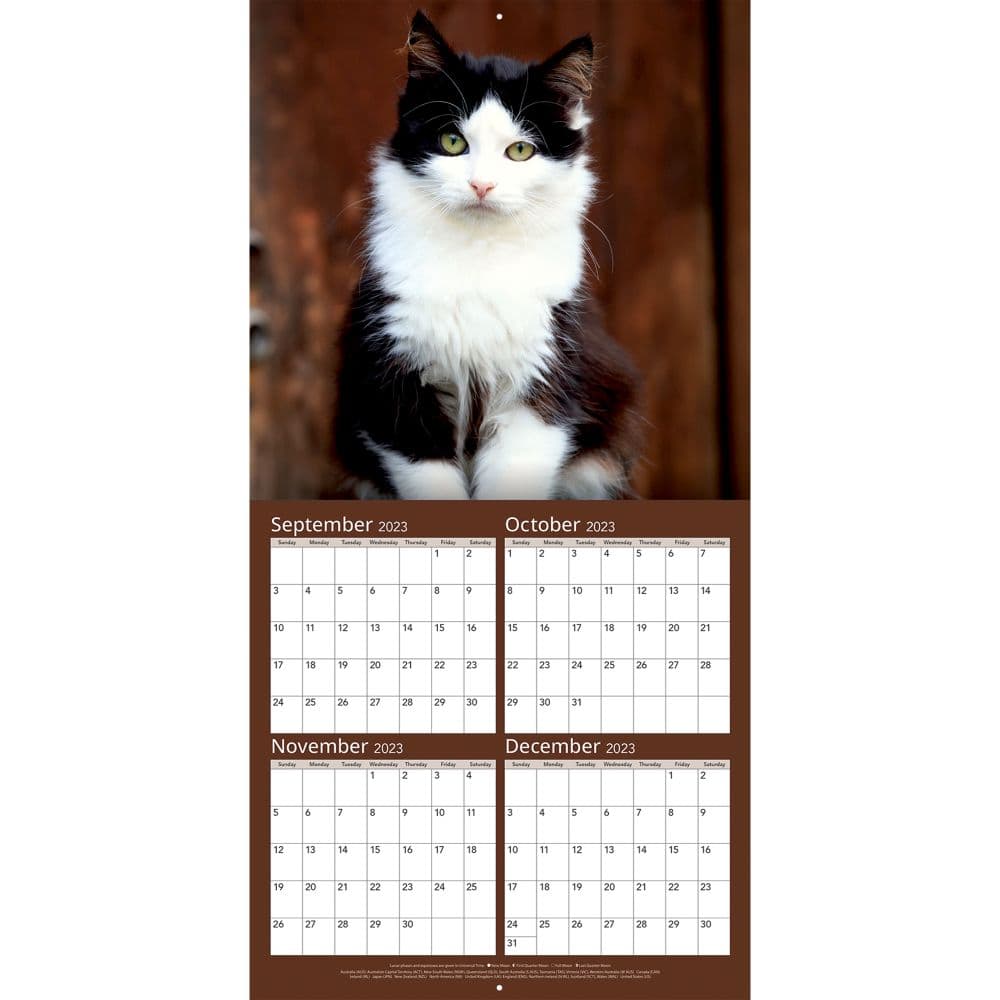 Cats Photo 2024 Wall Calendar Alternate Image 3