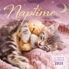 image Naptime 2025 Wall Calendar  Main Image