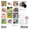 image Kittens 2025 Mini Wall Calendar First Alternate Image width=&quot;1000&quot; height=&quot;1000&quot;