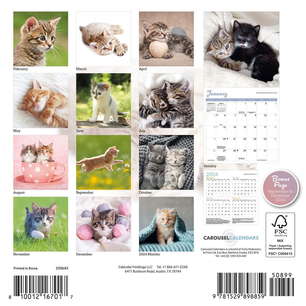 Kittens 2025 Mini Wall Calendar First Alternate Image width=&quot;1000&quot; height=&quot;1000&quot;