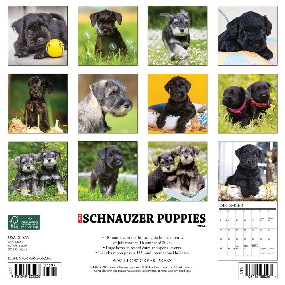 Just Schnauzer Puppies 2024 Wall Calendar