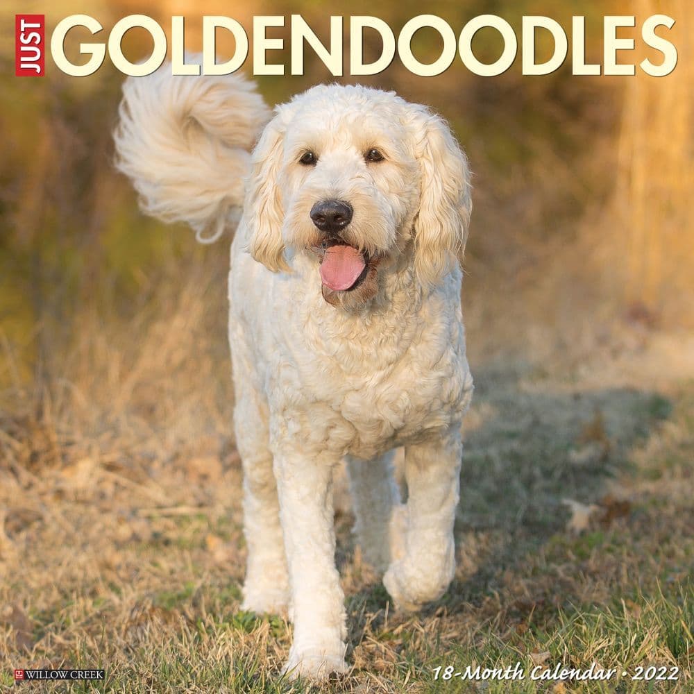 Goldendoodle 2022 Wall Calendar