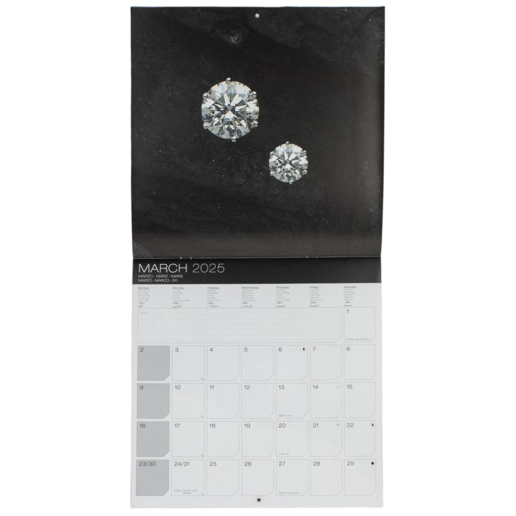 Jewels 2025 Wall Calendar Fifth Alternate Image