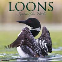 image Loons 2026 Wall Calendar  Main Image