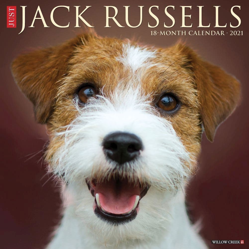 Jack Russells Wall Calendar
