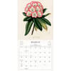 image World of John Derian 2027 Wall Calendar Third Alternate Image