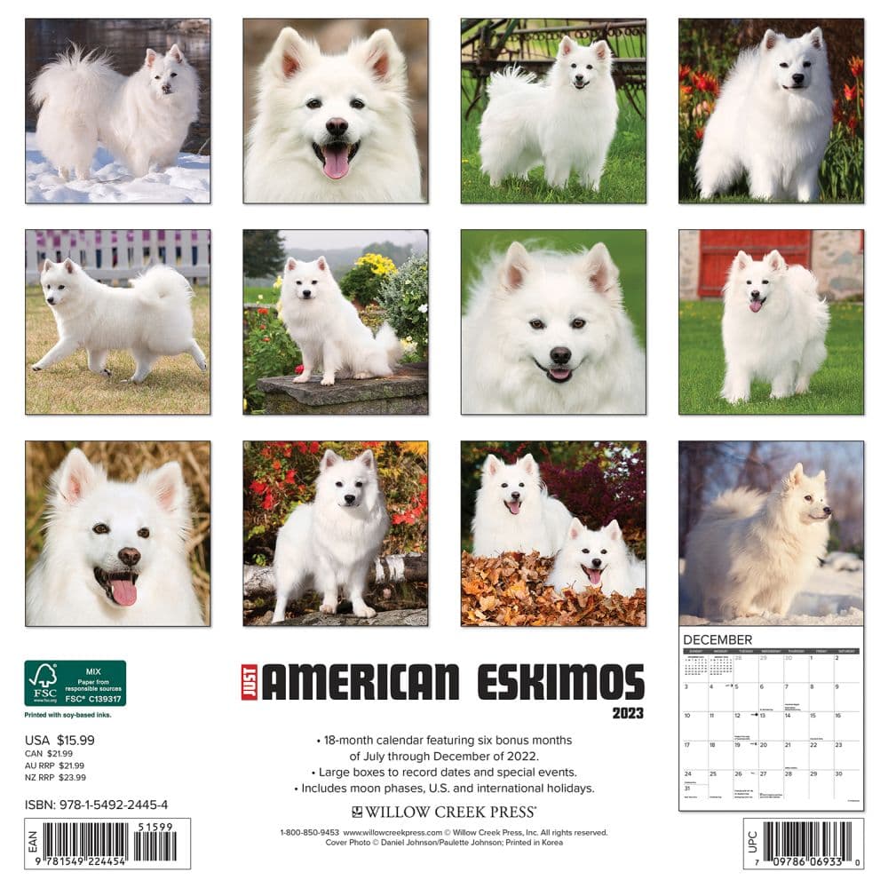 Just American Eskimo Dogs 2023 Wall Calendar - Calendars.com