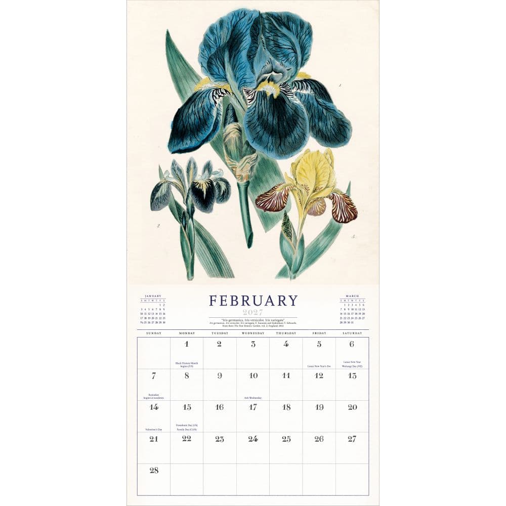 World of John Derian 2027 Wall Calendar Second Alternate Image