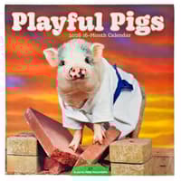 image Playful Pigs 2026 Wall Calendar Main Product Image