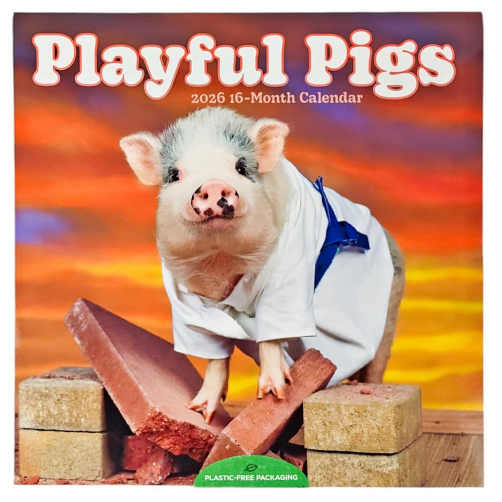 Playful Pigs 2026 Wall Calendar Main Product Image