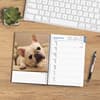 image French Bulldogs 2025 Engagement Planner