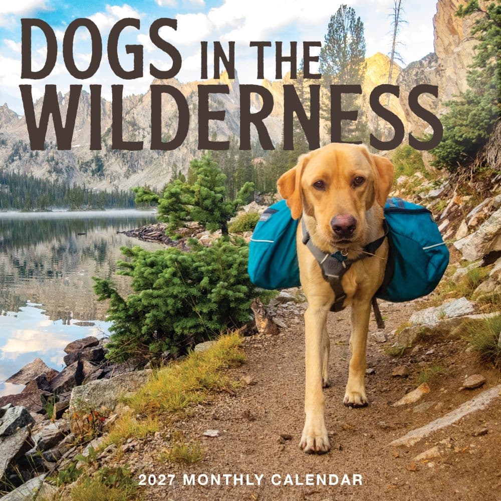 image Dogs in the Wilderness 2027 Wall Calendar Main Product Image