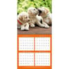 image Playful Puppies 2024 Wall Calendar Third Alternate  Image width=&quot;1000&quot; height=&quot;1000&quot;