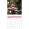 image Songbirds Photo 2025 Mini Wall Calendar