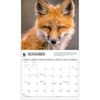 image Foxes WWF 2025 Wall Calendar Second Alternate Image width="1000" height="1000"