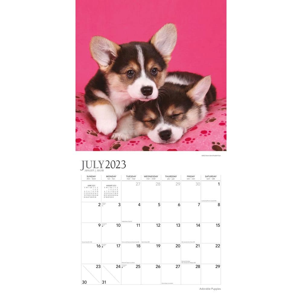 Puppies Adorable 2024 Wall Calendar - Calendars.com