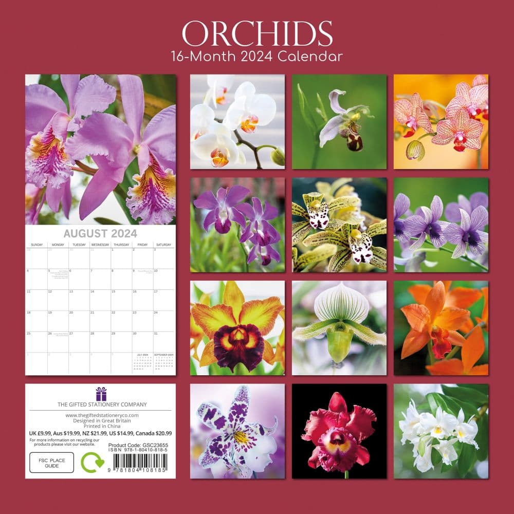 Orchids 2024 Wall Calendar