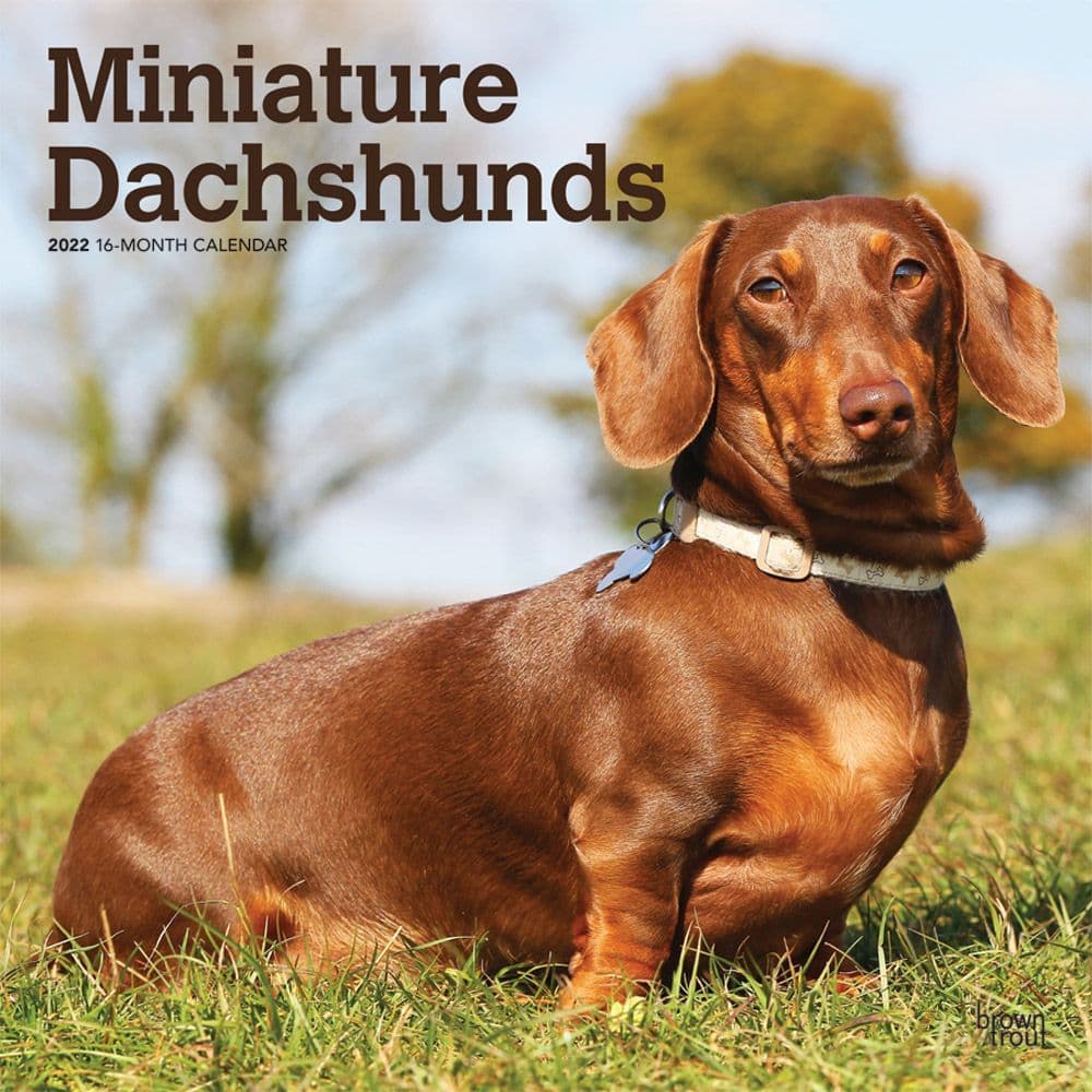 jan ksu euro unt calendar Dachshund Calendar 2022 calendar pdf free