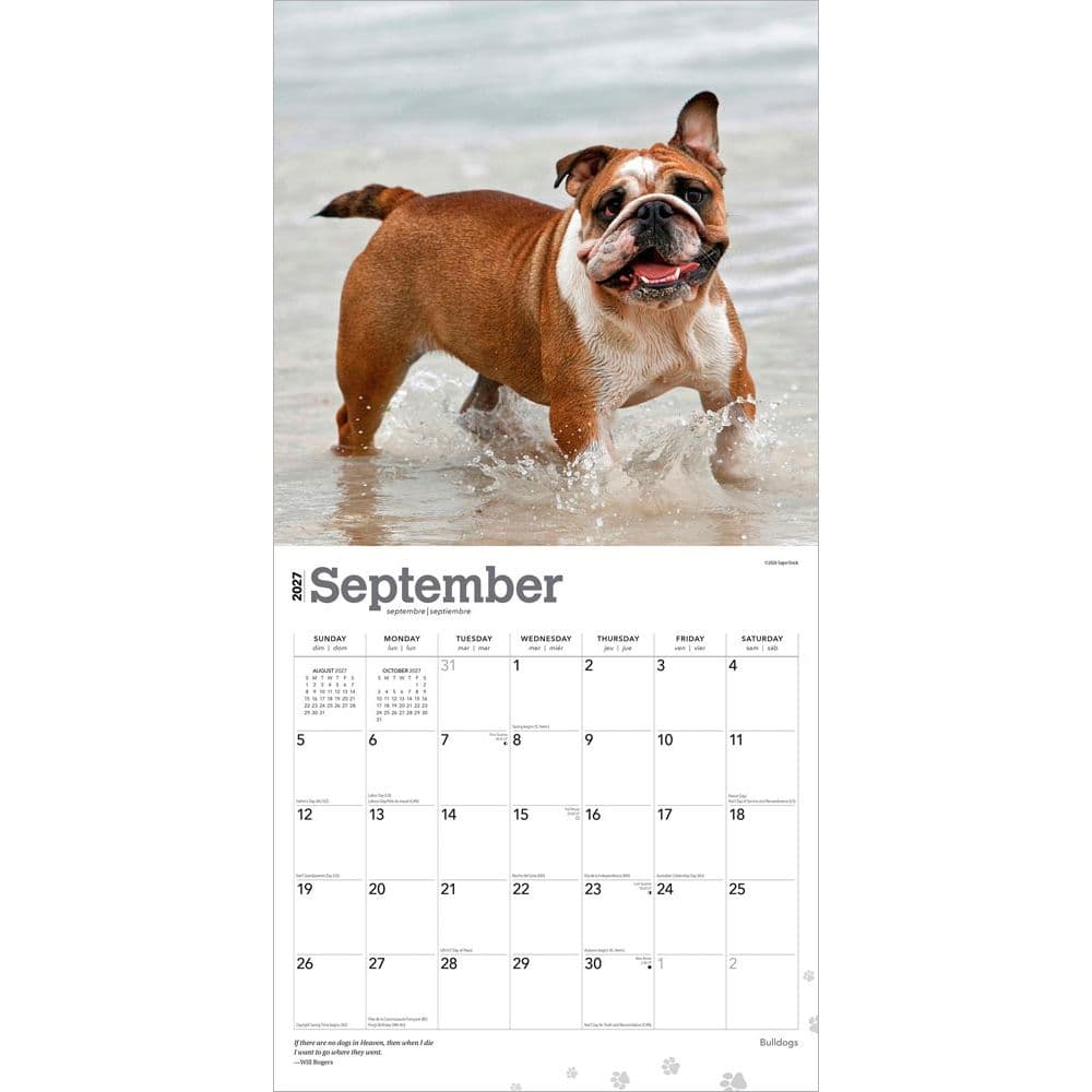 Bulldogs 2027 Wall Calendar Third Alternate Image