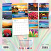 image Experience Aloha Ray Art 2025 Wall Calendar