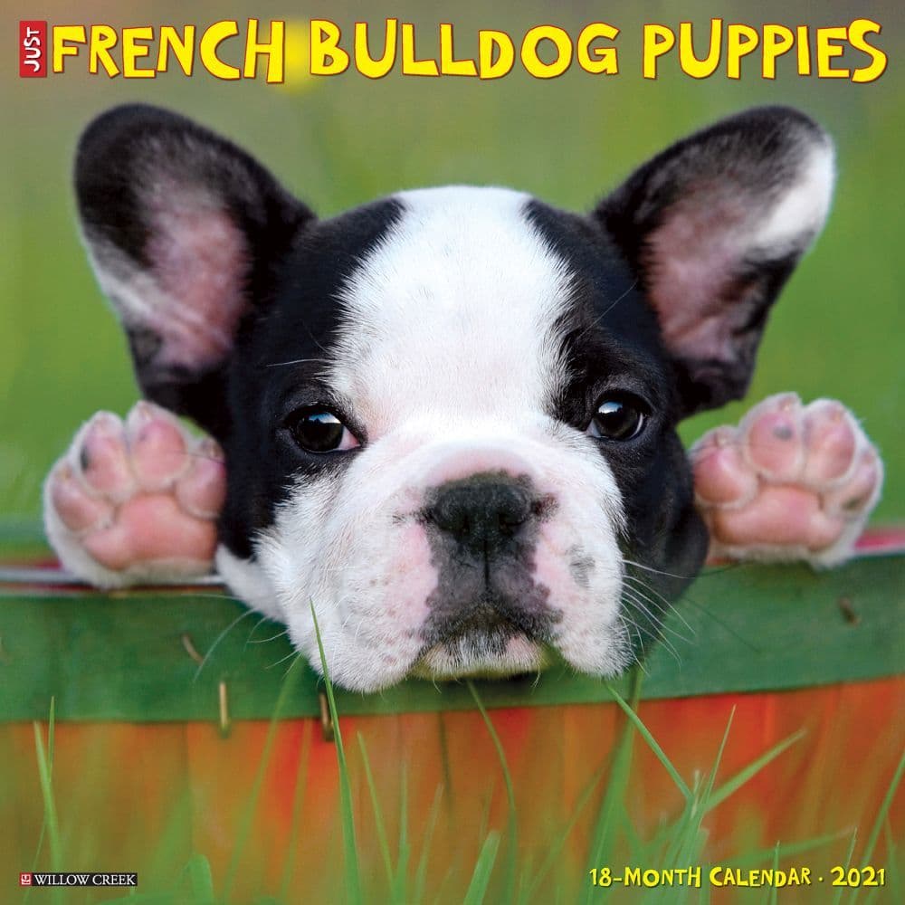 French Bulldogs 2021 Calendar | Dog-Calendars.com